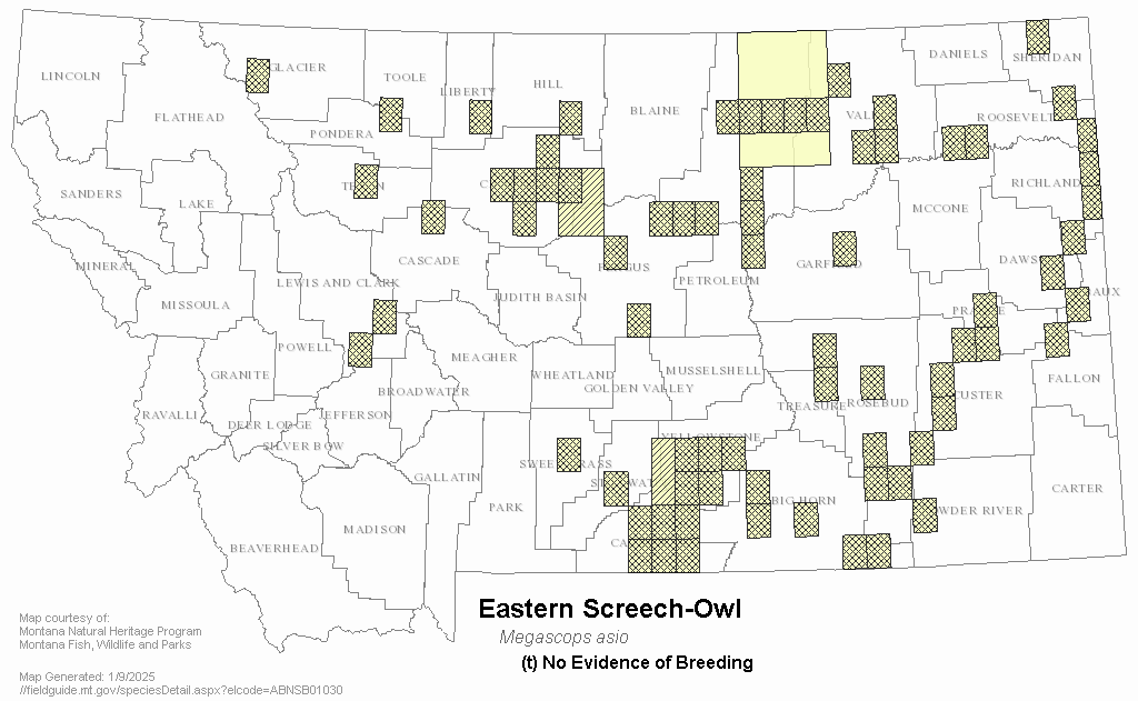 screech-owl-house-plans