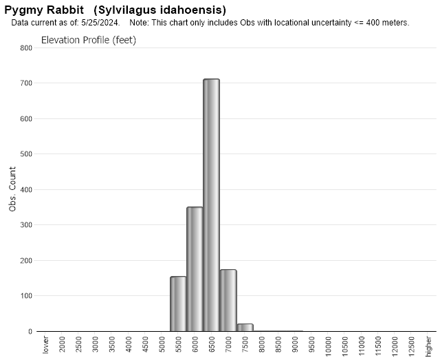 Rabbit Gestation Period Chart