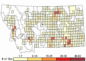 montana field guide relative density