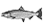iconFish.gif