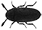 Icon_Throscidae.gif