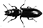 Icon_Trogossitidae.gif