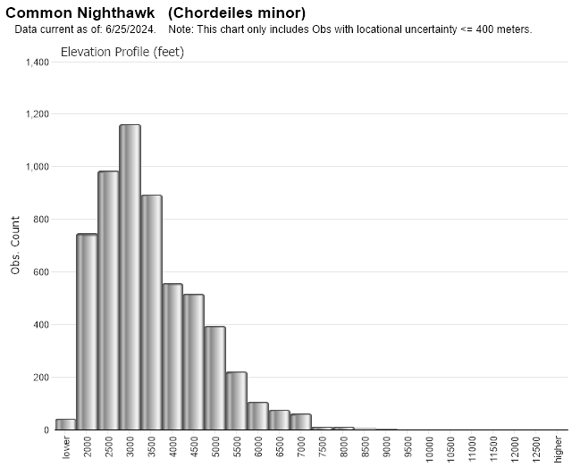 Common Nighthawk (Chordeiles minor) – Columbus Audubon