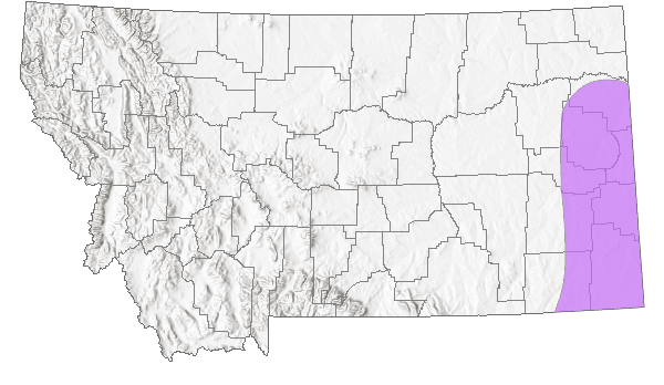 Range in Montana