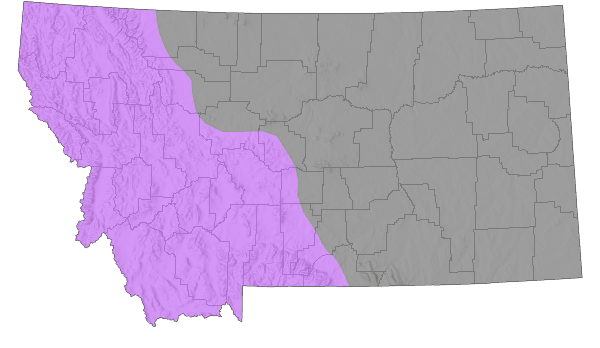 gray wolf habitat map