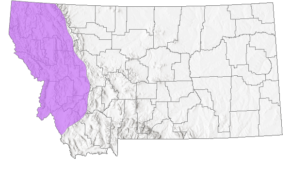 Range in Montana