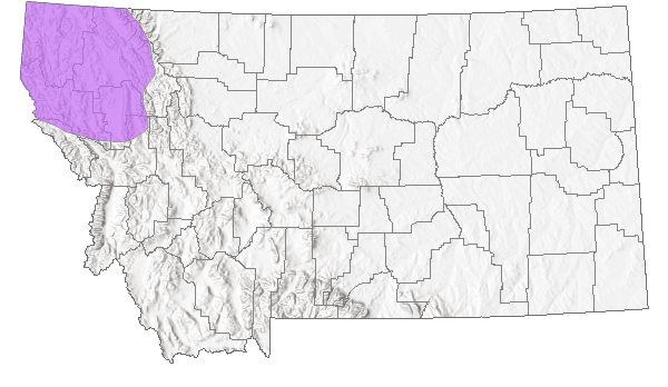 Range in Montana