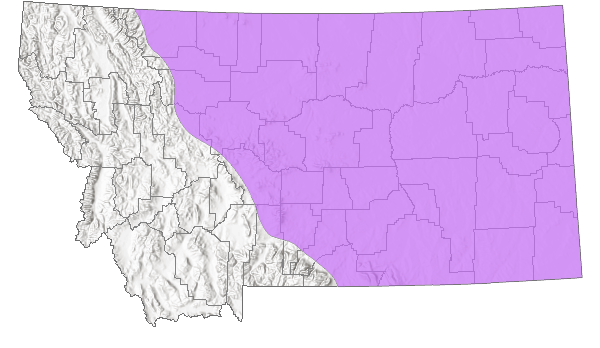 Range in Montana