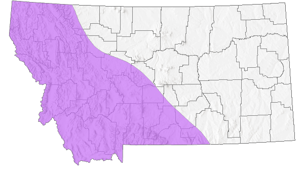 Range in Montana