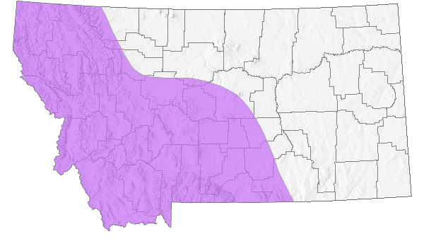 Range in Montana
