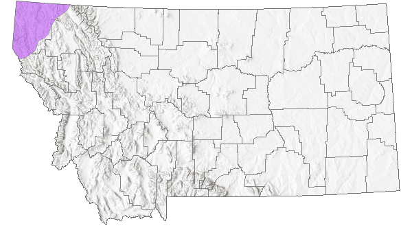 Range in Montana