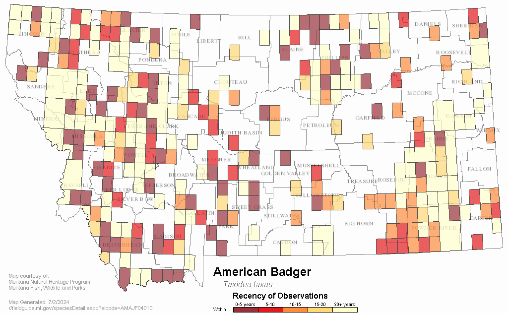 american badger range map