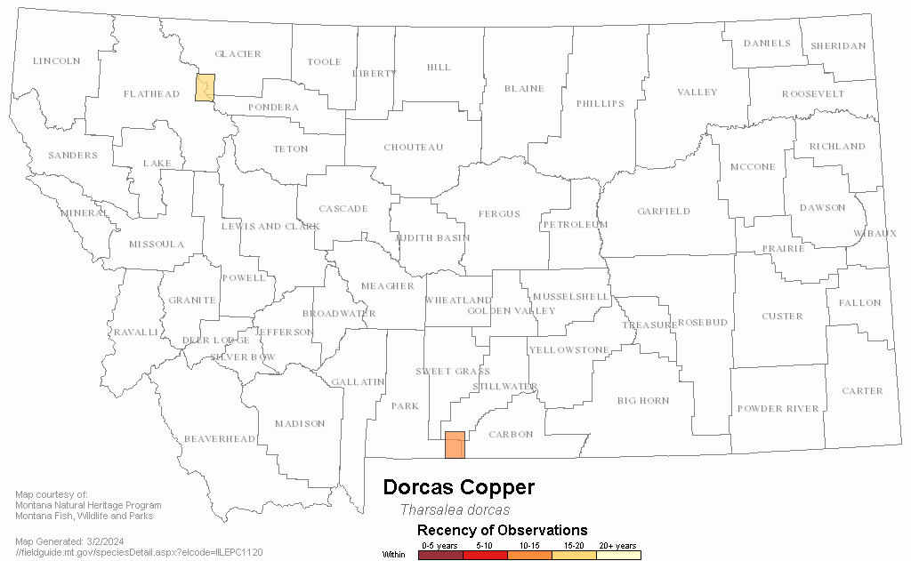 Copper-wire Moss - Montana Field Guide
